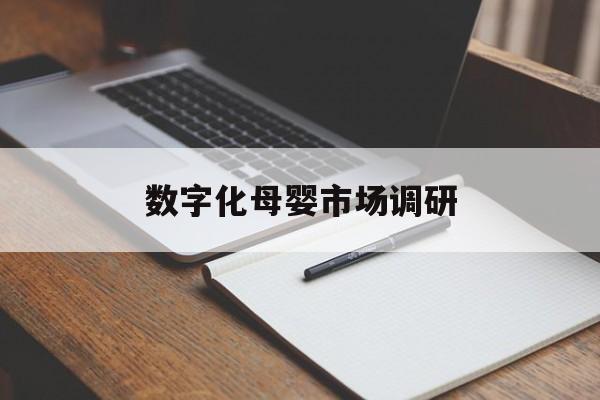 吉首市数字化母婴市场调研(数字化母婴市场调研报告)